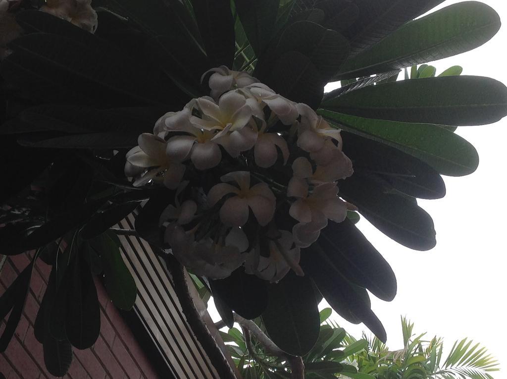Palms Motel Darwin Zewnętrze zdjęcie